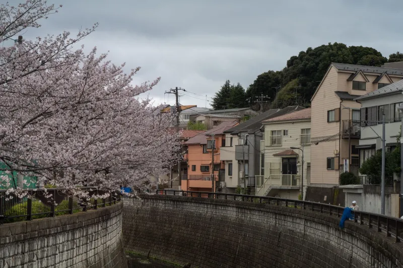 Seventy-Two Reasons to Pay Attention: How Japan's Ancient Micro-Season Calendar Offers Overscheduled Americans a New Way to Measure Time
